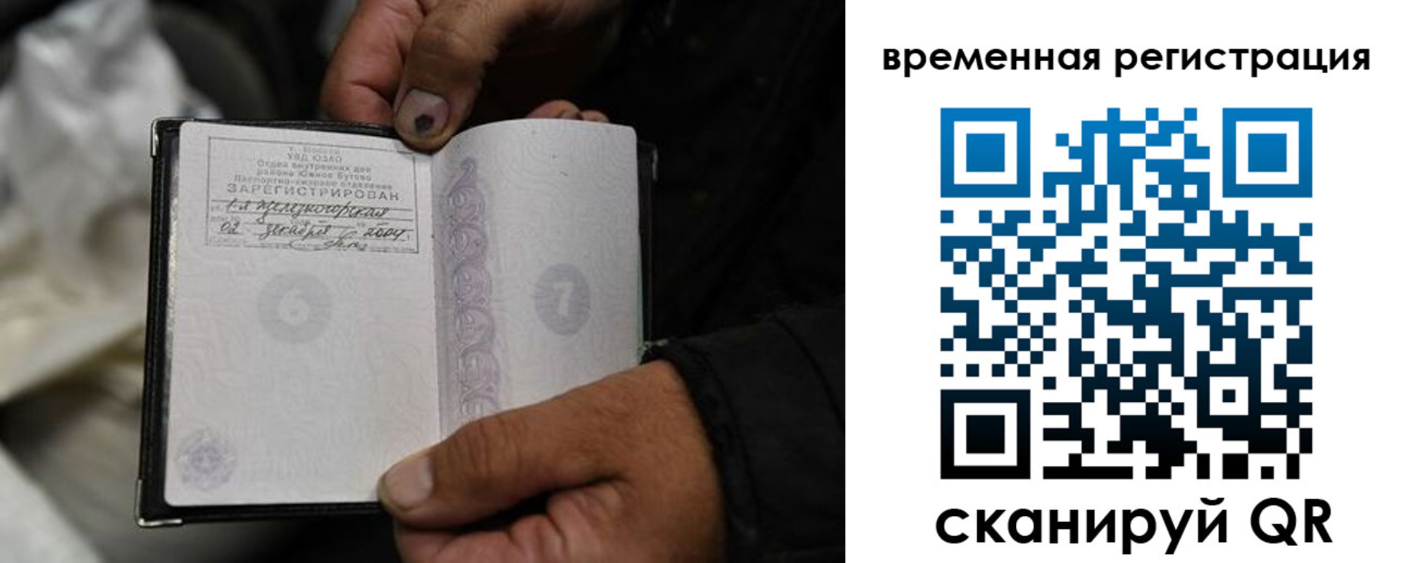 прописка поиск в Невеле
